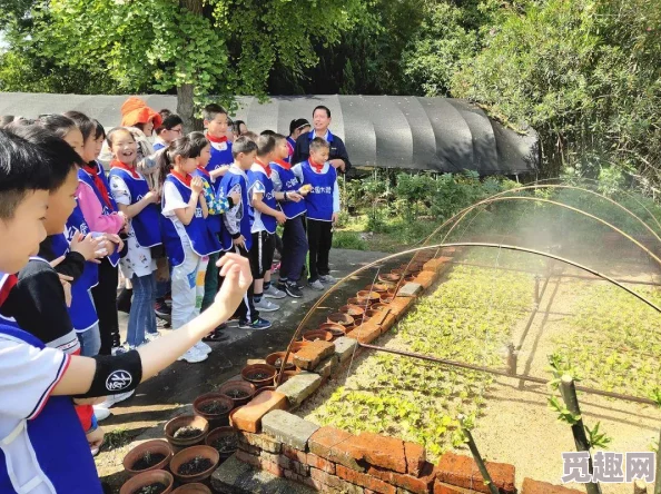 六年级菊花能塞几支笔？探讨小学科学教育中的趣味实验与学生动手能力的培养