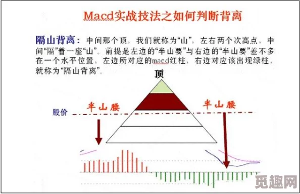 比较分析：艾尔登法环中矛与弓哪个武器更为实用高效？