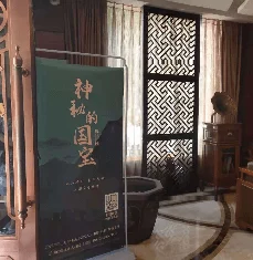 XXXX69黄大片：揭示背后不为人知的故事与影响，探讨其在当代文化中的地位和意义