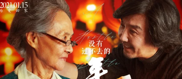 亲情会王芳吴刚：探讨两位演员在影视作品中展现的深厚亲情与人性光辉，揭示家庭关系的重要性和温暖