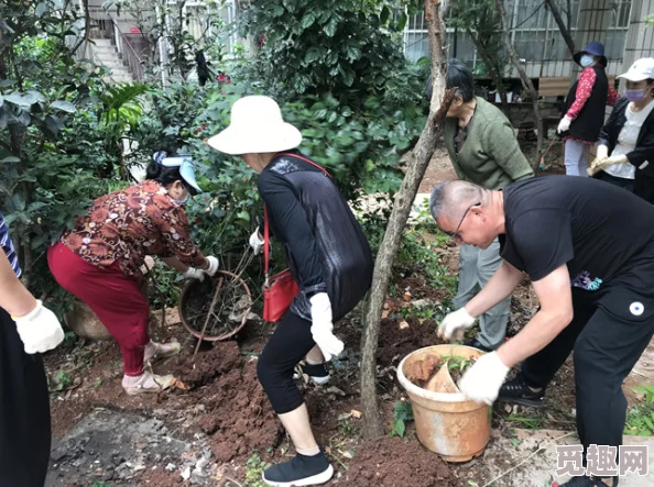 海角社区绿意盎然：新植树种活动启动，居民共同参与美化家园提升生态环境质量