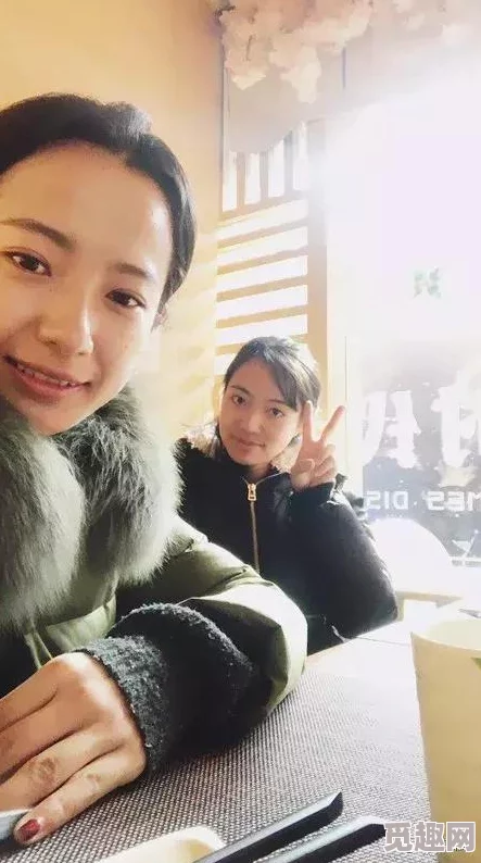 探索时尚与正义并存的魅力：奇迹暖暖联邦女警套装全面品鉴与分析