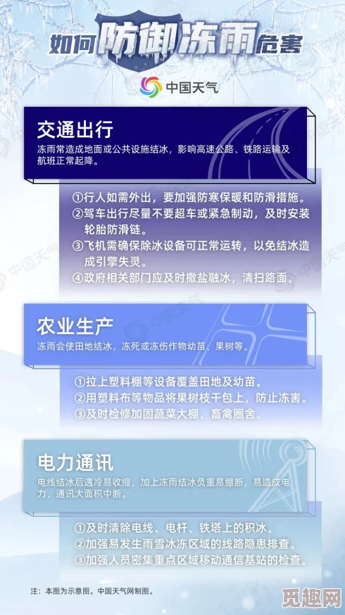 2025年热门技巧：如何用四面八方之网高效捕获野外生物及最新方法解析